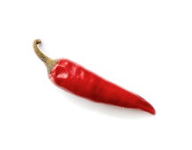 Chilli
